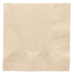 Guardanapo 22 X 22 2f Craft