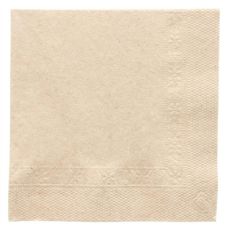 Guardanapo 22 X 22 2f Craft