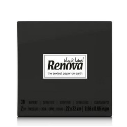 Guardanapo 22 X 22 2f Renova Preto